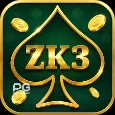 Logo zk3